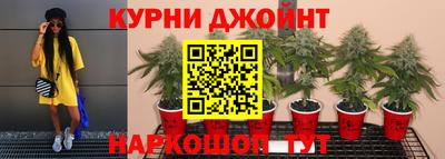 мяу мяу мука Кунгур